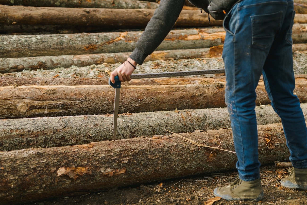 El proceso de tratamiento de la madera: de la recolección al producto final